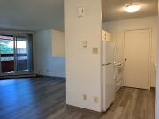 Apple Meadows 3 Bedroom Home for Rent at 193 161 193...