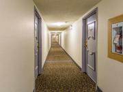 Applewood Village Apartments Pet Friendly Apartments 2...