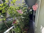 Appt 2P de 30m2 Nue propriété Paris 14 Pernety