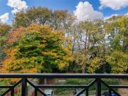Apt 9, Hazelbrook, Terenure Road West, Terenure, Dublin...