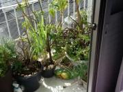 Apto 2 dormit? Rios v. mussolini s.B.campo