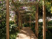 APTO Garden duplex 3 dormitório 3 suítes 3 vagas 241m²...