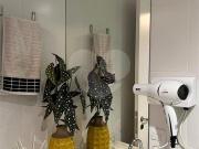 Apto. Novo Mobiliado B. Mercês 1 Quarto 25,92 m²