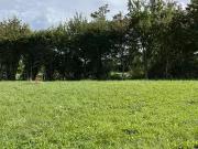 Arçonnay 72610 Programme neuf terrain neuf à vendre