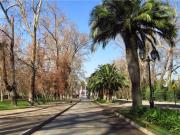 Arayabroker Vende Departamento Muy Bien Ubicado En Santiago