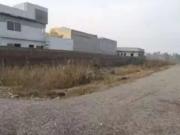 Arbab Cottages warsak road Peshawar ID 66580