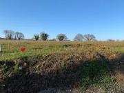 Arbanats 33640 Programme neuf terrain neuf à vendre