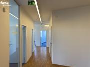 Arbeiten mit Weitblick frisch renovierte Büroetage,...