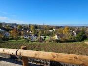 ARBOIS Franche Comté 39600 84752173