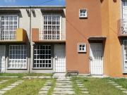 ARBOLADA LOS SAUCES 2