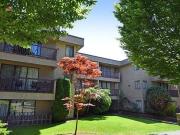 Arbutus Court Apartments for Rent 8740 Cartier St...
