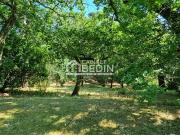 Arcachon 33120 Achat / Vente terrain