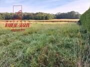 Arces Dilo 89320 Programme neuf terrain neuf à vendre