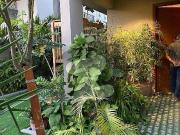 Architect Design 500 Yard West Open Bungalow With Dha...