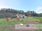 Arcos de Valdevez Arcos de Valdevez 96584658