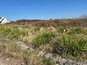 Ardeamush, Lisdoonvarna, Clare