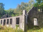 Ardnagashel Woods, Ballylickey, Bantry, Co. Cork