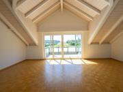 Are you looking for a bright gallery apartment in Cotoniz?