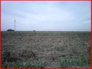 Área 900.000m² Ampla Frente Para Marginal da Rodovia...