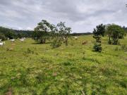 Área 440.000m² Topografia Boa Para Loteamento Nobre,...