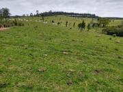 Área 440.000m² Topografia boa Hotel Fazenda Haras... Área 440.000m² Topografia boa Hotel Fazenda Haras...