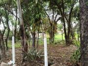 Área à venda, 12000 m² por R$ 5.000.000,00 Jardim...