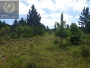 Área à venda, 1260000 m² por R$ 4.410.000,00 Itapuã...