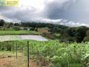 Área à venda, 130000 m² por R$ 5.850.000,00 dos Pires...