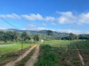 Área à venda, 194153 m² por R$ 11.650.000,00 Parque...