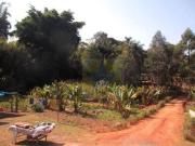 Área à venda, 30000 m² por R$ 5.700.000,00 Chácaras... Área à venda, 30000 m² por R$ 5.700.000,00 Chácaras...