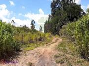 Área à venda, 307000 m² por R$ 11.000.000,00 Ponte Alta...
