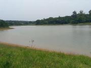 Área à venda, 418000 m² por R$ 15.000.000,00 Paruru...