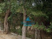 Área à venda, 4446 m² por R$ 2.889.900,00 Jardim Marcelo...