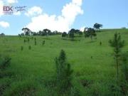 Área à venda, 484000 m² por R$ 2.500.000,00 Zona Rural...
