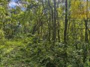 Área à venda, 63180 m² por R$ 700.000 Bateias Campo Largo/PR