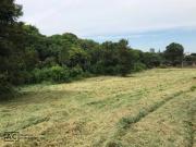 Área à venda, 7000 m² por R$ 3.600.000,00 Vila Real...