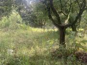 Área à venda, 93 m² por R$ 46.799.270,00 Jardim Nova...