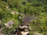 Área à venda em São Bento do Sapucaí, Centro, com 110000 m²