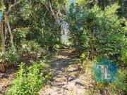 Ponte alta area com 80.000 m2 aceito imovel