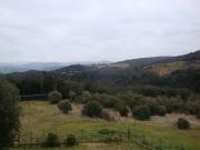 AREA EDIFICABILE in VENDITA a GUARDISTALLO