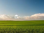 AREA EDIFICABILE in VENDITA a MONTEBELLUNA