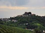 AREA EDIFICABILE in VENDITA a MONTU' BECCARIA