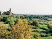 AREA EDIFICABILE in VENDITA a VITERBO CENTRO