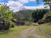 Área em Ibiúna 18 Alqueires