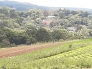 Área em, Ibiúna/SP de 0m² à venda por R$ 869.900,00