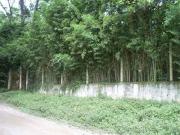 Área em Parque Botujuru, São Bernardo do Campo/SP de 0m²...