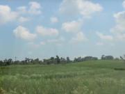 Área Exclusiva 125.000M², 400 Metros Da Castelo Branco...