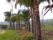 Area para Venda 7787.1m², 0 dormitórios, Centro