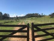 Area rural com 10 hectares a venda em Santo Antonio da...
