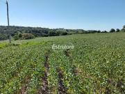 Área rural com 60 hectares